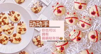 萌萌哒曲奇饼🍪